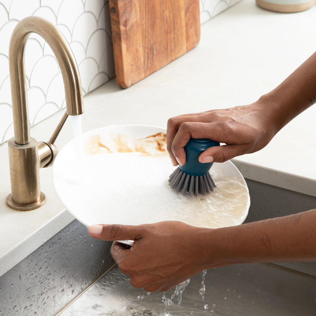 Clean Ocean Palm Brush